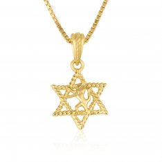 14k Solid Gold Necklace and Pendant - Lion Of Judah inside Textured Star of David